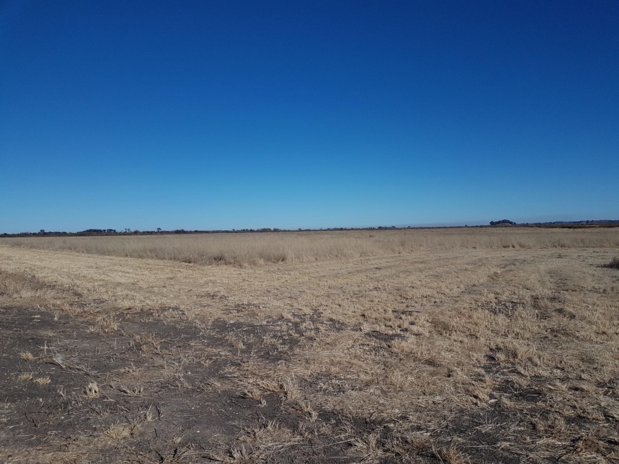 0 Bedroom Property for Sale in Koppies Free State
